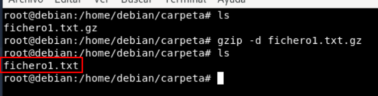 fichero-descomprimido-en-gz