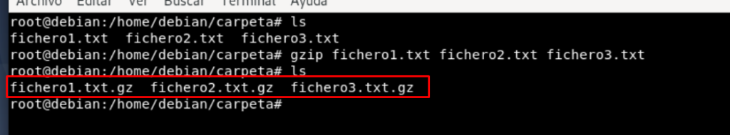 multiples-ficheros-comprimidos-en-gz