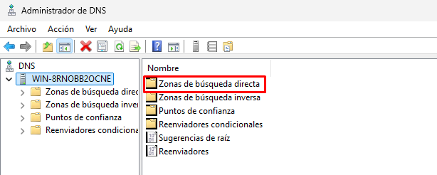 Ubicación de las zonas de búsqueda directa en el Administrador DNS de Windows Server 2025